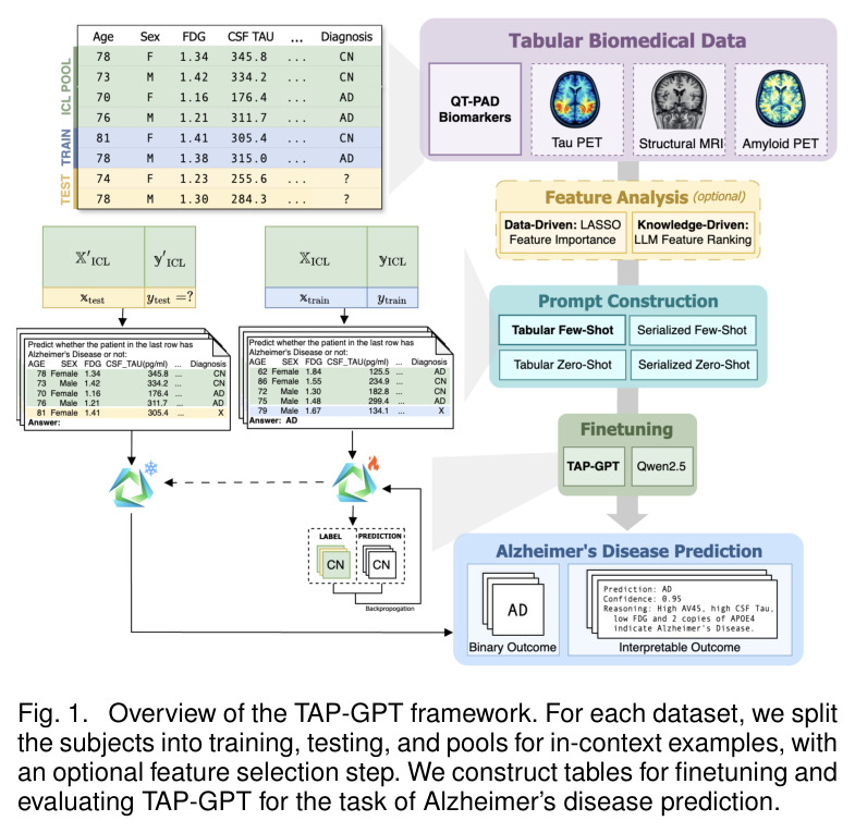Overview of the TAP-GPT framework