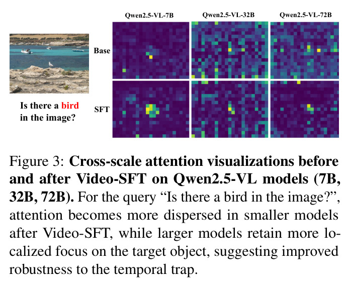 Cross-scale attention visualizations before and after Video-SFT on Qwen2.5-VL models