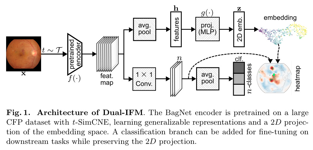 Architecture of Dual-IFM.