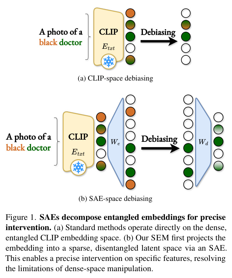 SAEs decompose entangled embeddings for precise intervention