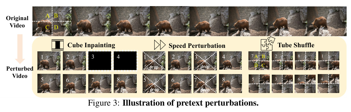 Illustration of pretext perturbations.