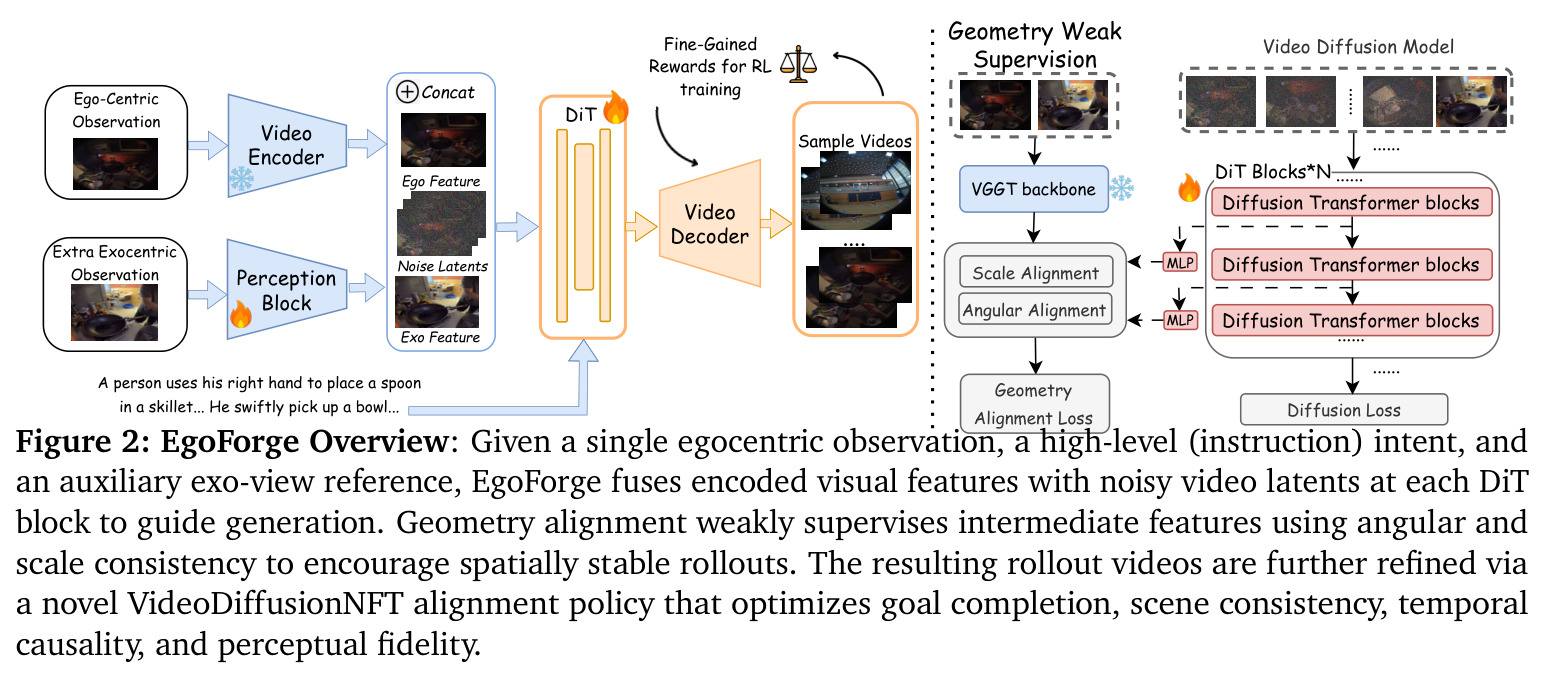EgoForge Overview: Architecture and training pipeline.