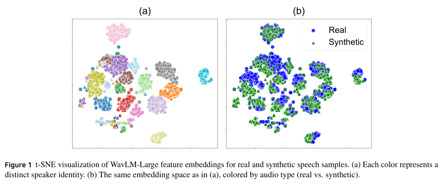 t-SNE visualization of WavLM-Large feature embeddings for real and synthetic speech samples. (a) Each color represents a distinct speaker identity. (b) The same embedding space as in (a), colored by audio type (real vs. synthetic).