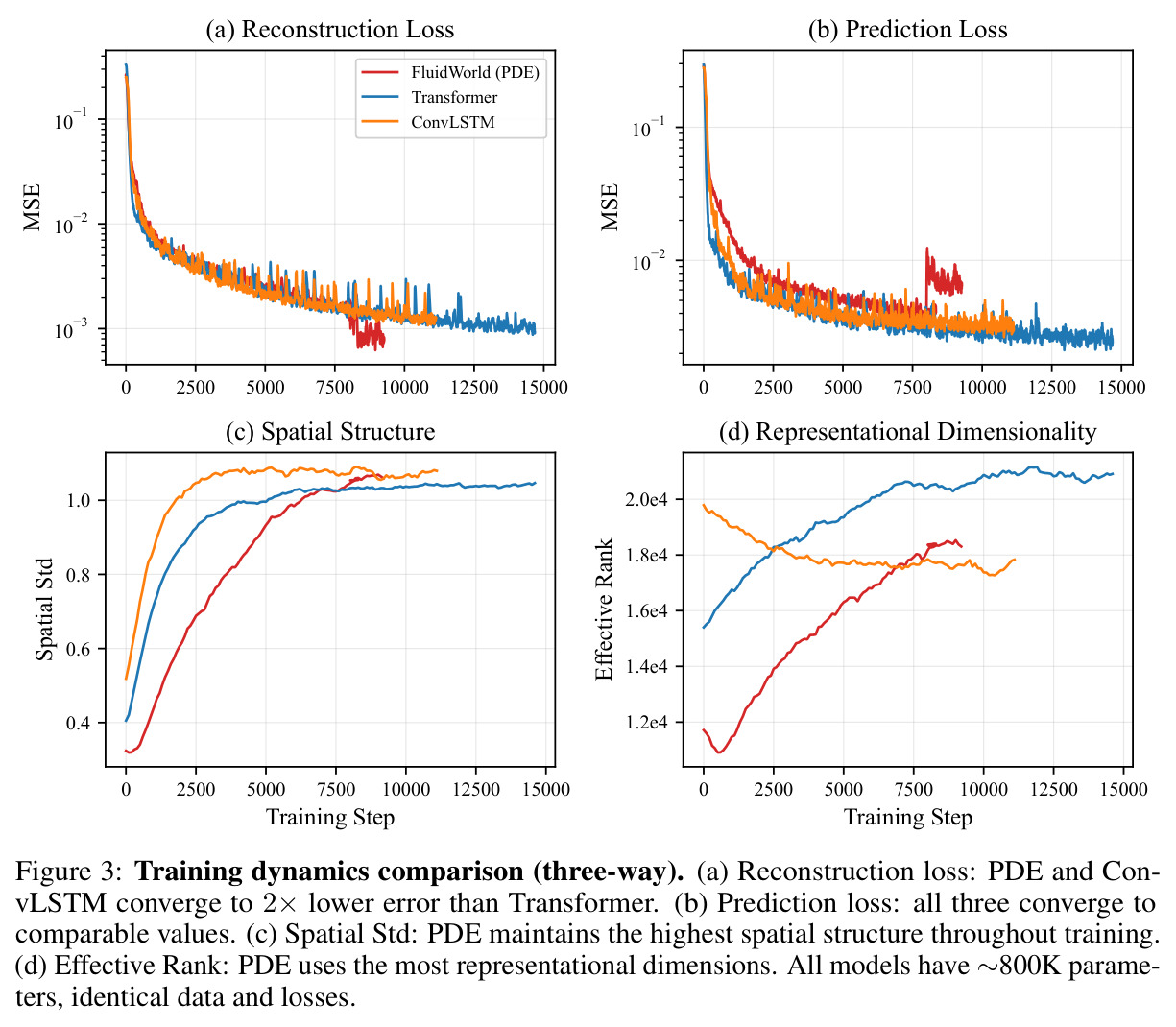 Training dynamics comparison (three-way).
