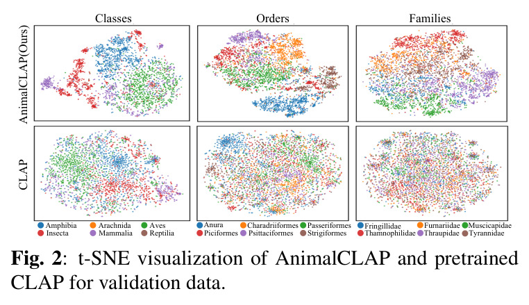 t-SNE visualization of AnimalCLAP and pretrained CLAP for validation data.