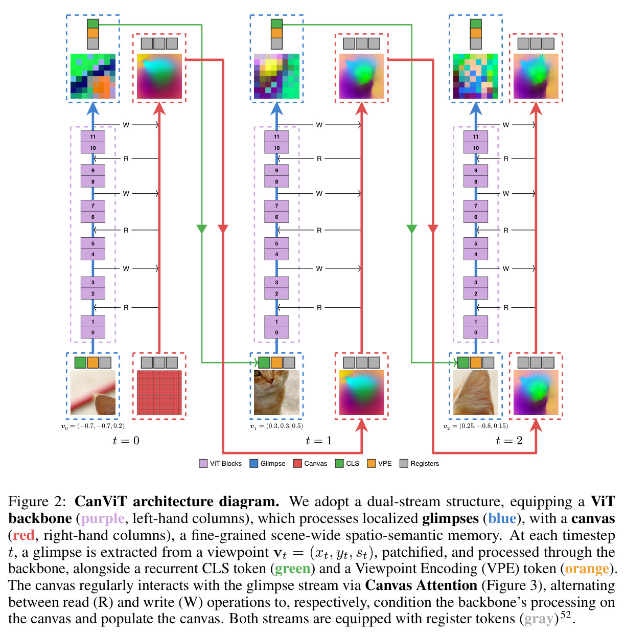 CanViT architecture diagram