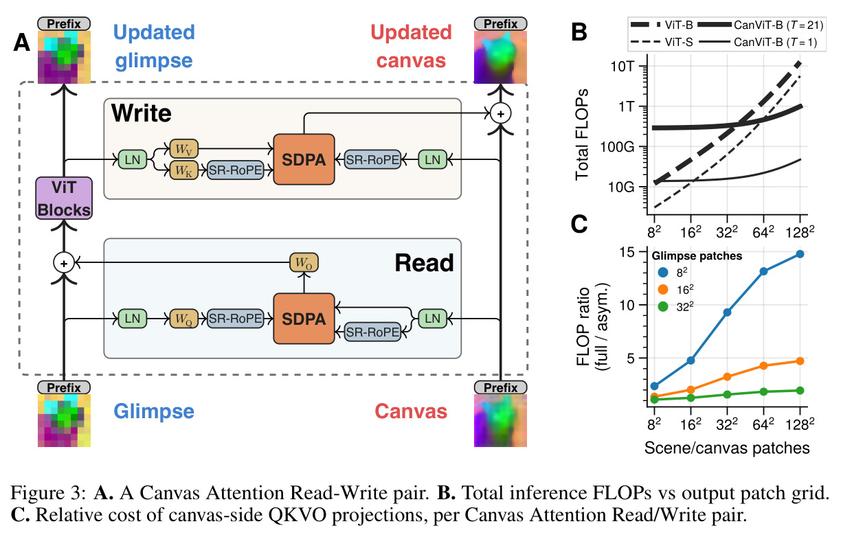 A. A Canvas Attention Read-Write pair. B. Total inference FLOPs vs output patch grid. C. Relative cost of canvas-side QKVO projections, per Canvas Attention Read/Write pair.