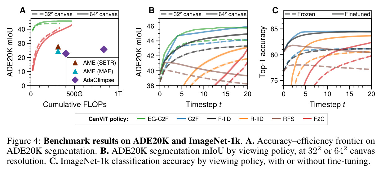 Benchmark results on ADE20K and ImageNet-1k