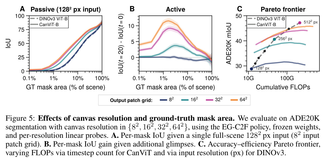 Effects of canvas resolution and ground-truth mask area
