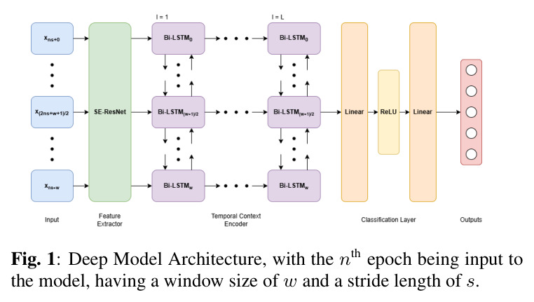 Deep Model Architecture, with the nth epoch being input to the model, having a window size of w and a stride length of s.