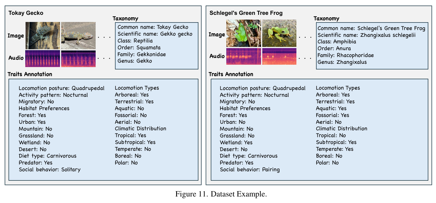 figure_11..jpg