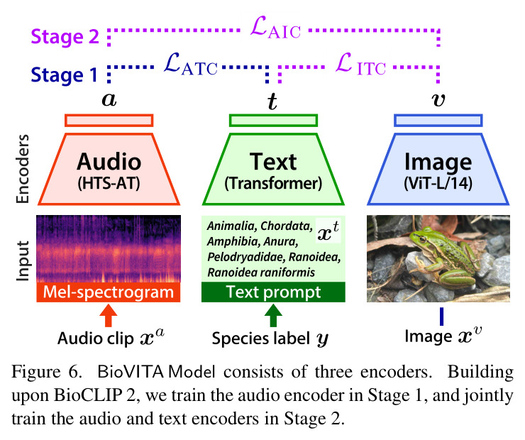 Task examples for BioVITA Bench. Given a query, models are required to identify the relevant sample (indicated by green rectangles) from databases of 100 samples each. Five samples per database are shown.