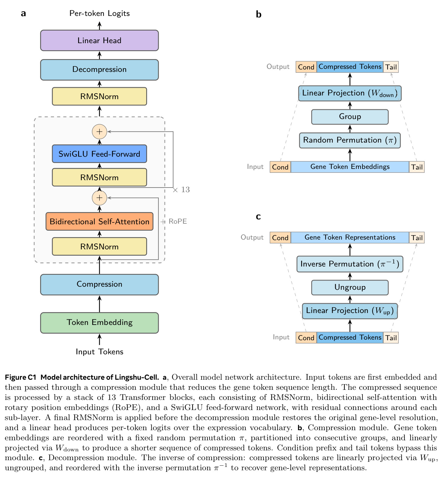 Model architecture of Lingshu-Cell.