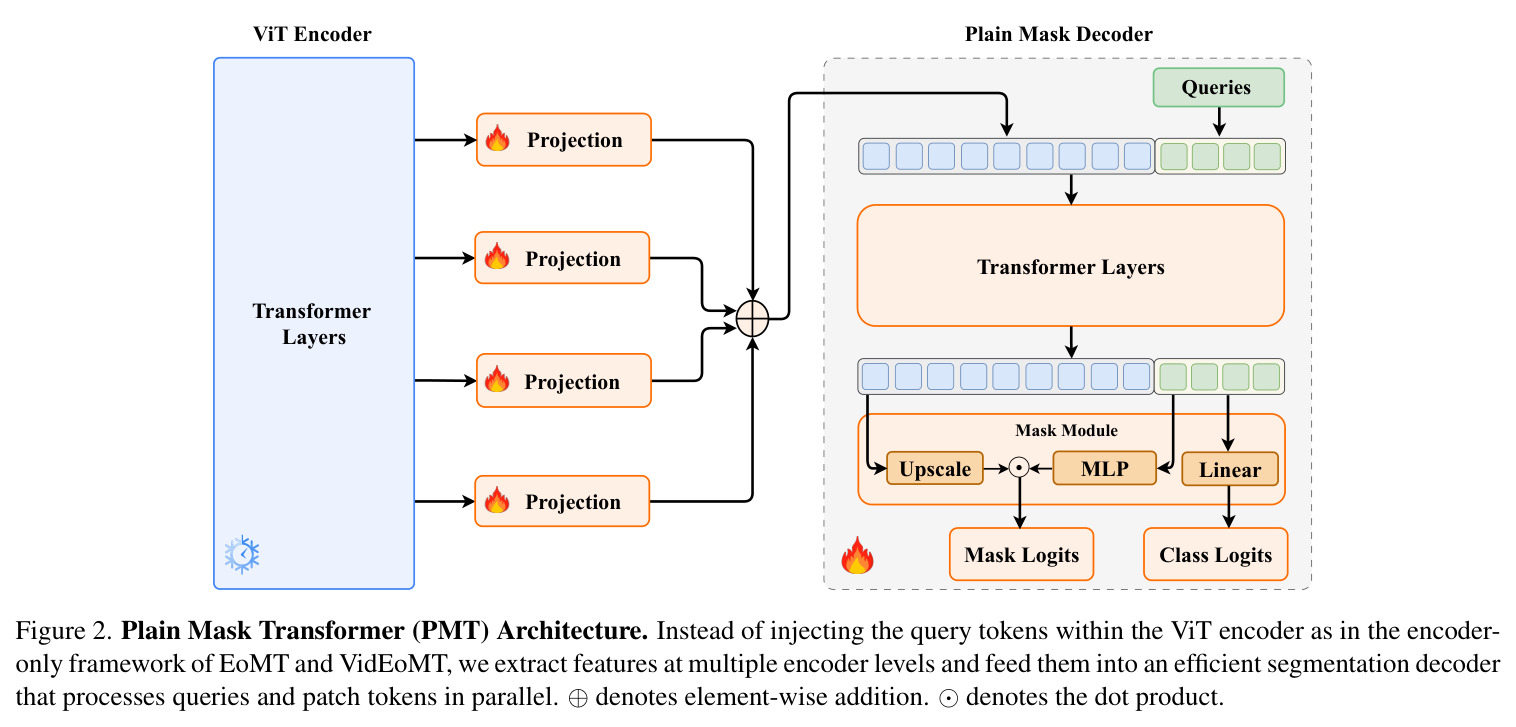Plain Mask Transformer (PMT) Architecture. Instead of injecting the query tokens within the ViT encoder as in the encoder-only framework of EoMT and VidEoMT, we extract features at multiple encoder levels and feed them into an efficient segmentation decoder that processes queries and patch tokens in parallel.