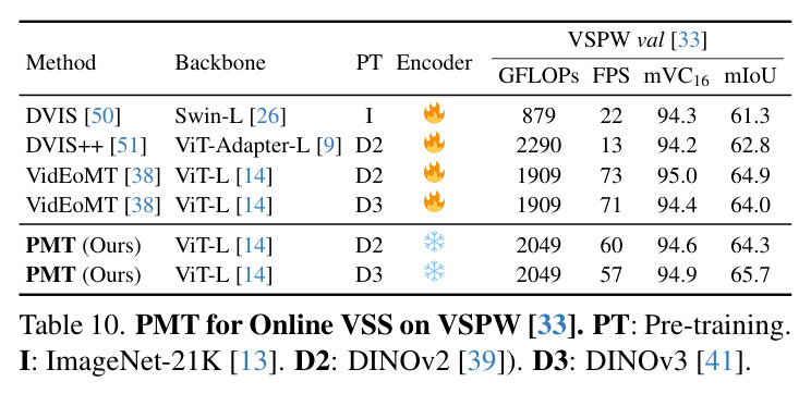 PMT for Online VPS on VIPSeg.