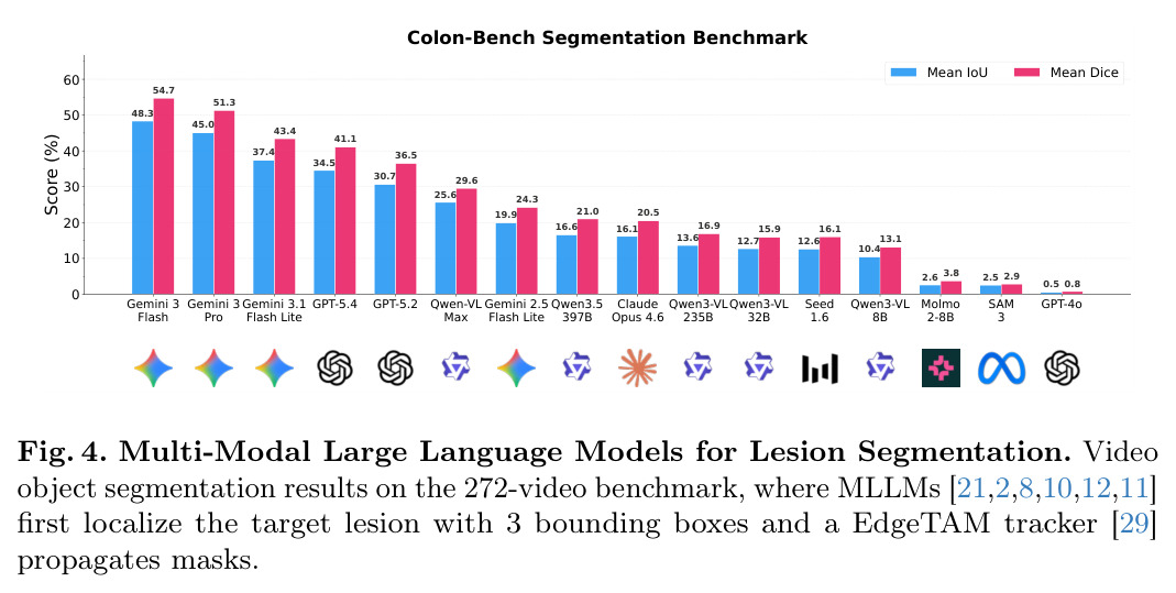 Multi-Modal Large Language Models for Lesion Segmentation