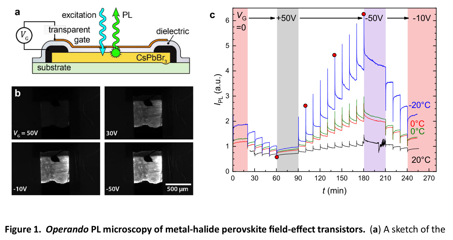 Operando PL microscopy of metal-halide perovskite field-effect transistors.