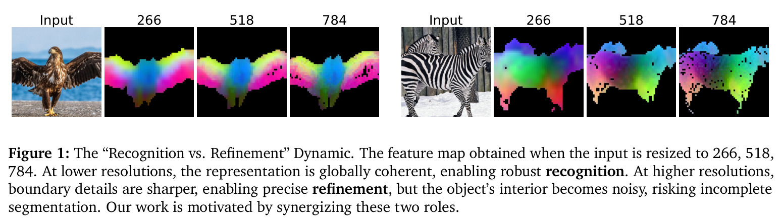 The 'Recognition vs. Refinement' Dynamic
