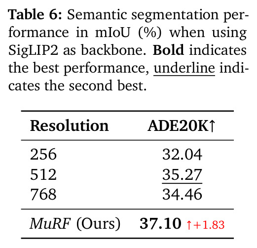 Semantic segmentation performance using SigLIP2 as backbone