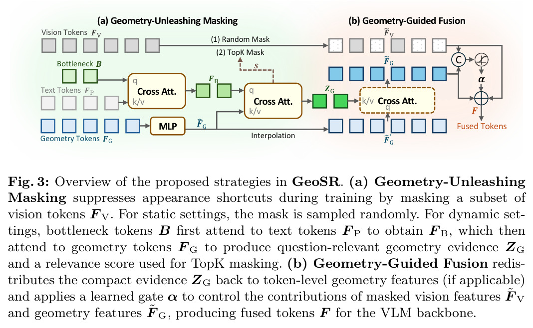 Overview of the proposed strategies in GeoSR.
