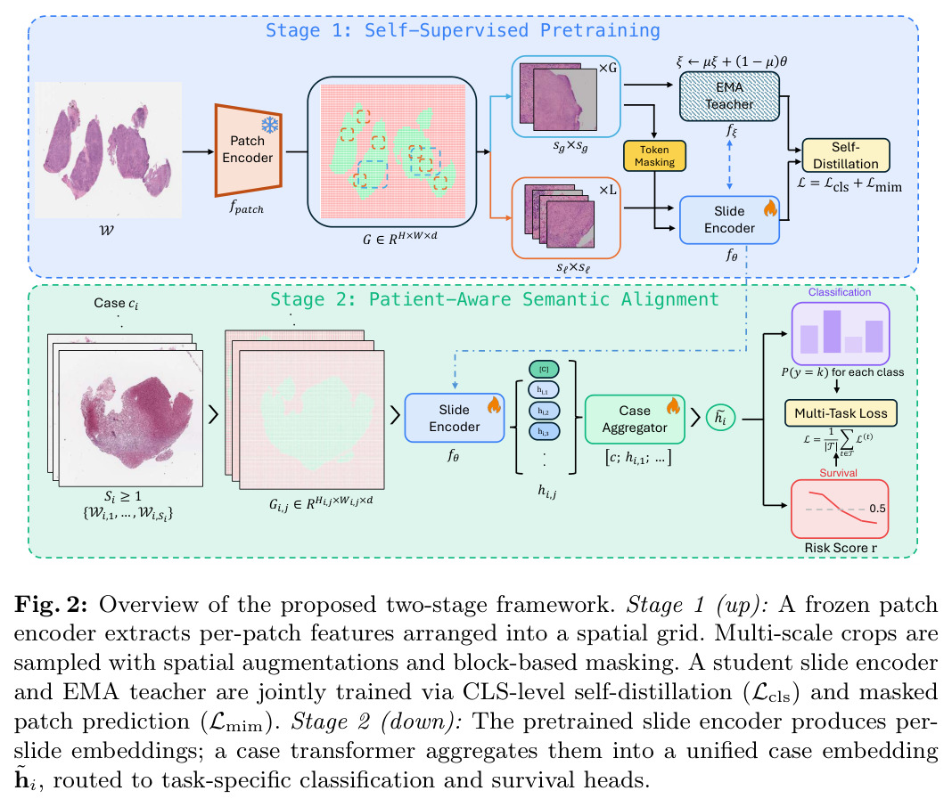 Overview of the proposed two-stage framework