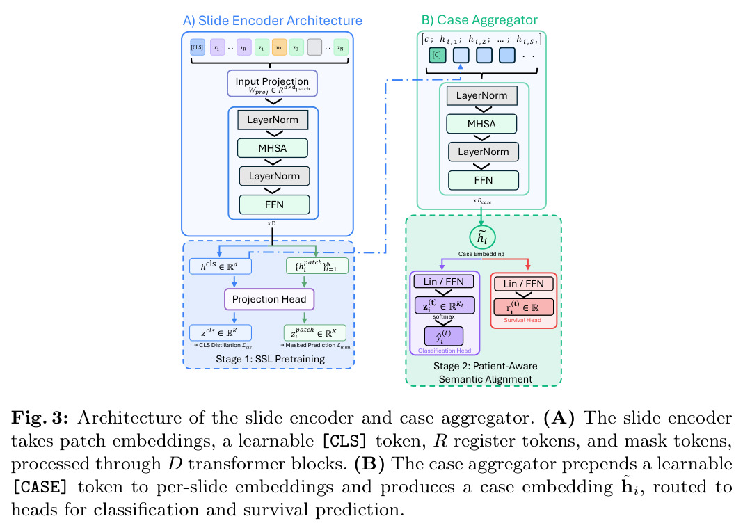 Architecture of the slide encoder and case aggregator
