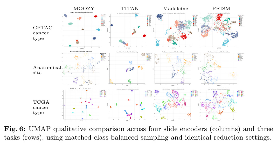 UMAP qualitative comparison across four slide encoders and three tasks
