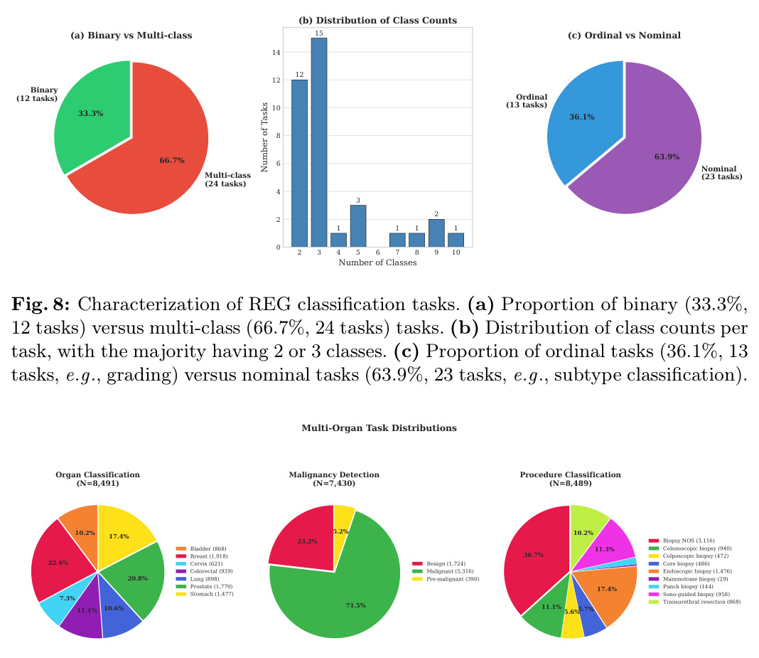 Attention-map comparison on a lung adenocarcinoma slide