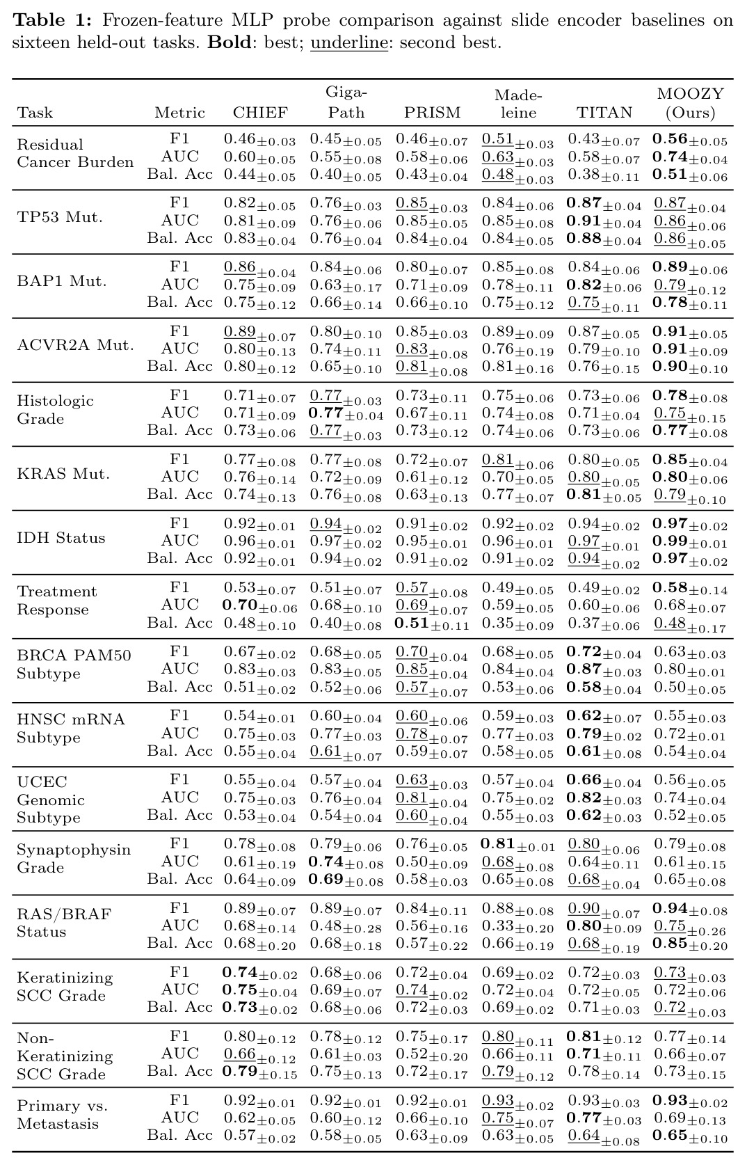 Frozen-feature MLP probe comparison against slide encoder baselines on sixteen held-out tasks