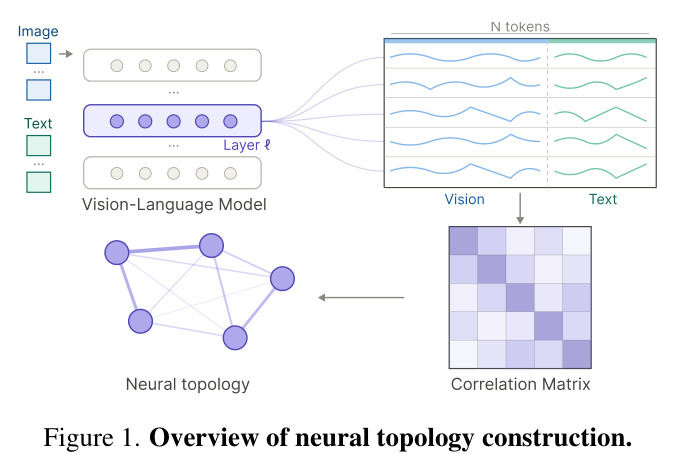 Overview of neural topology construction