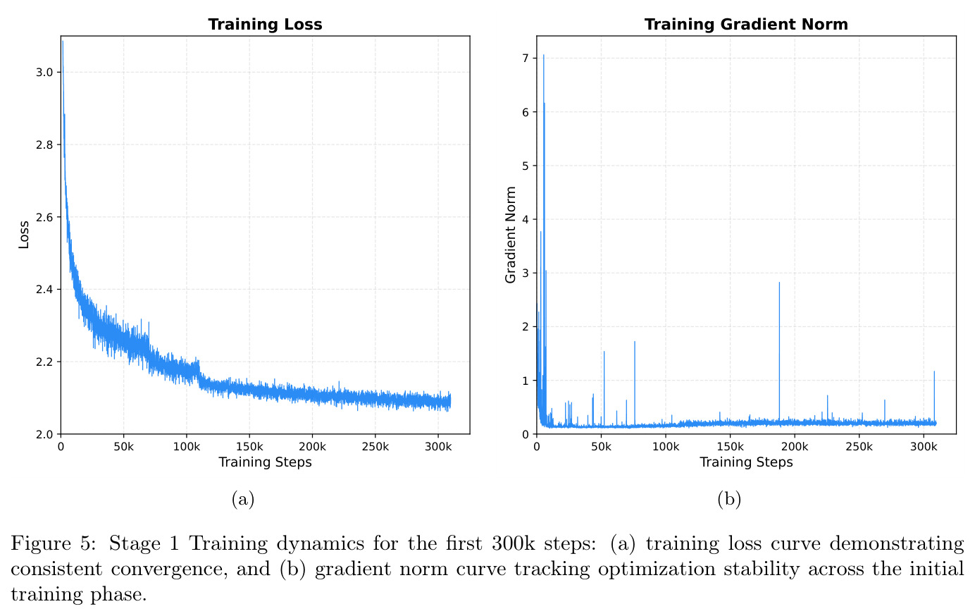 Stage 1 Training dynamics for the first 300k steps: (a) training loss curve demonstrating consistent convergence, and (b) gradient norm curve tracking optimization stability across the initial training phase.
