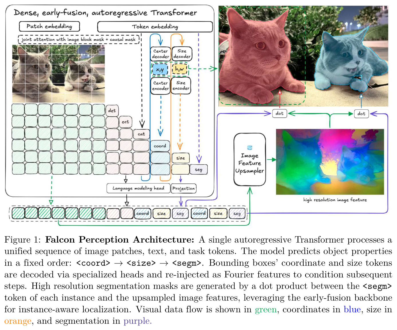 Falcon Perception Architecture: A single autoregressive Transformer processes a unified sequence of image patches, text, and task tokens.