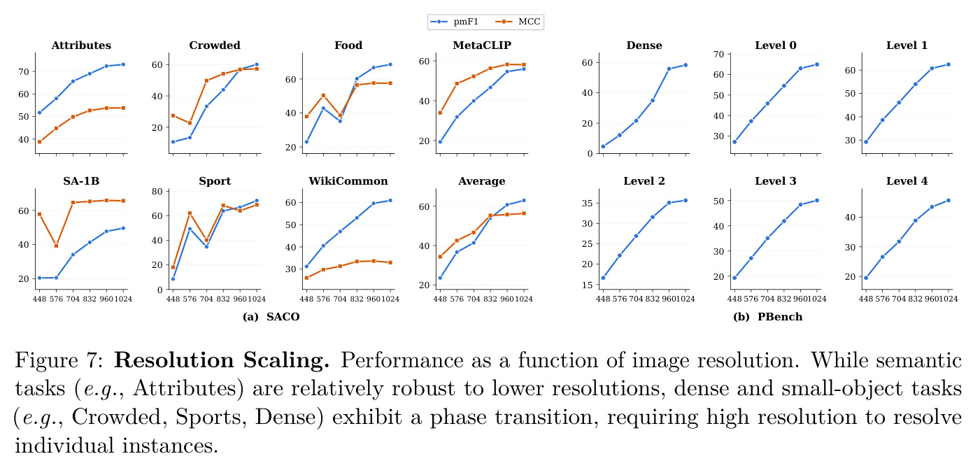 Resolution Scaling. Performance as a function of image resolution.