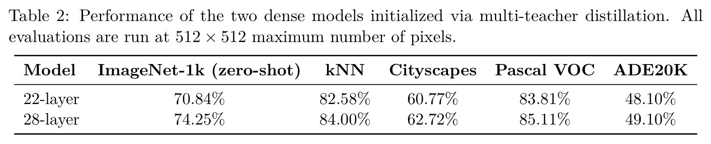 Performance of the two dense models initialized via multi-teacher distillation.