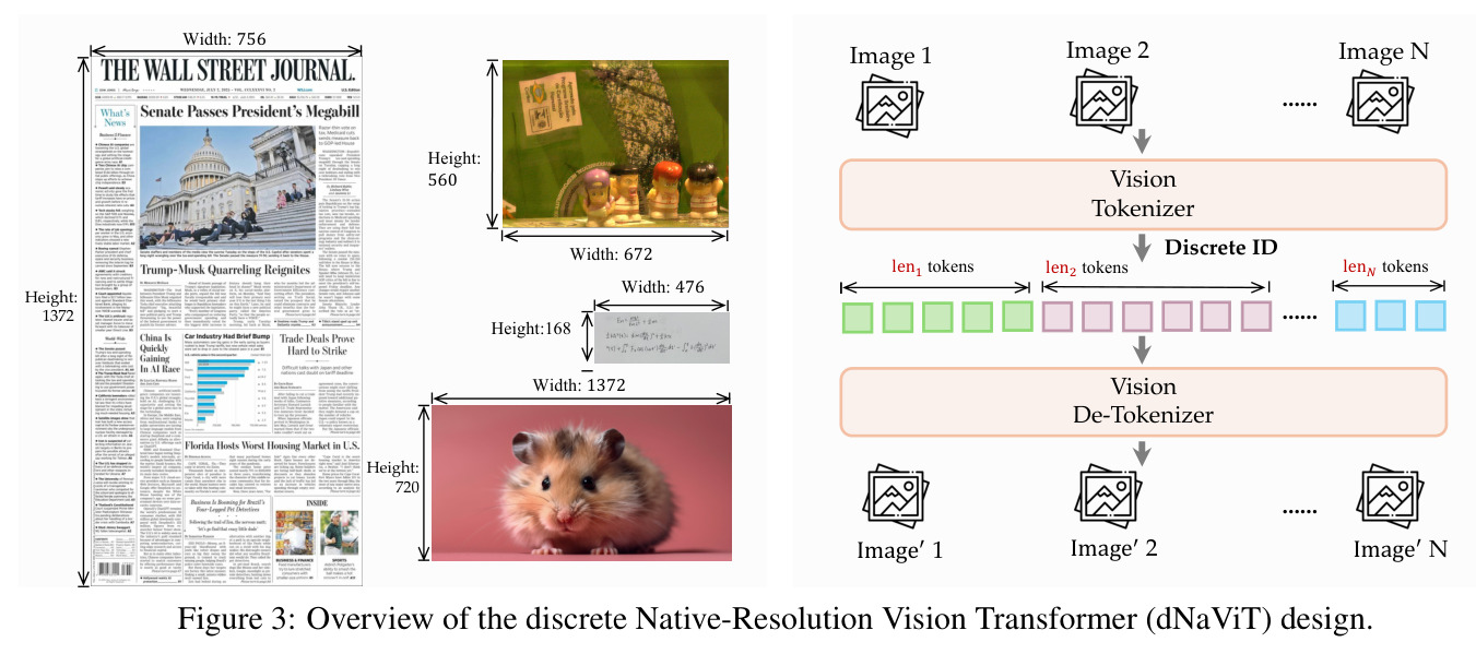 Overview of the discrete Native-Resolution Vision Transformer (dNaViT) design.