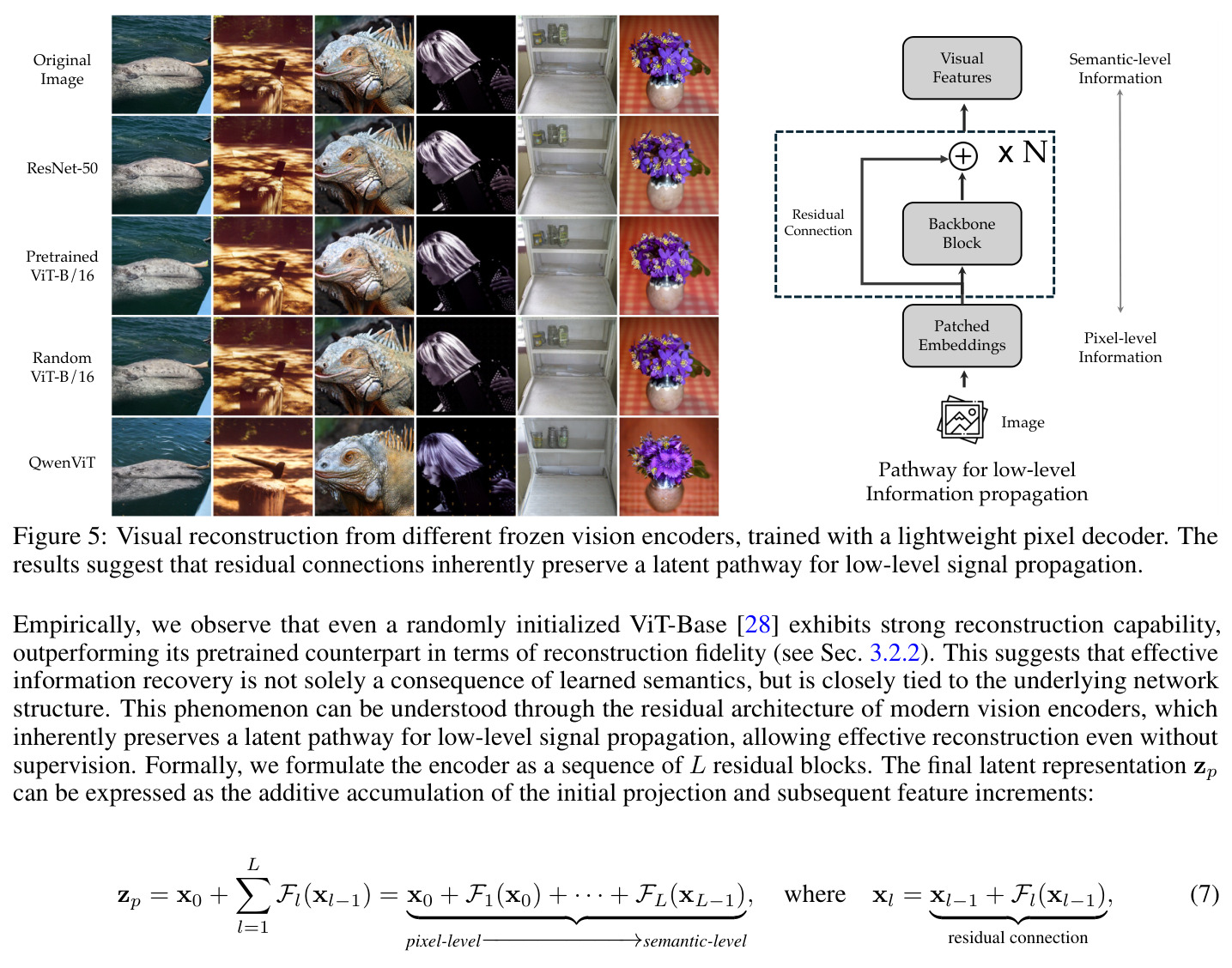 Visual reconstruction from different frozen vision encoders, trained with a lightweight pixel decoder. The results suggest that residual connections inherently preserve a latent pathway for low-level signal propagation.