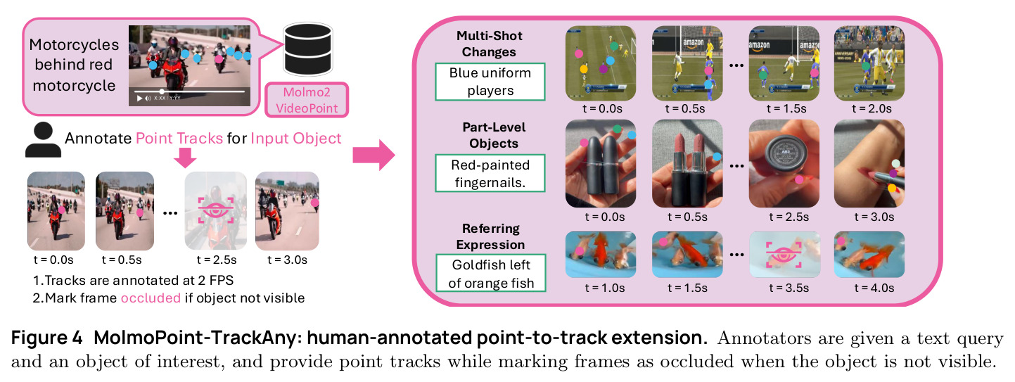 MolmoPoint-TrackAny: human-annotated point-to-track extension. Annotators are given a text query and an object of interest, and provide point tracks while marking frames as occluded when the object is not visible.