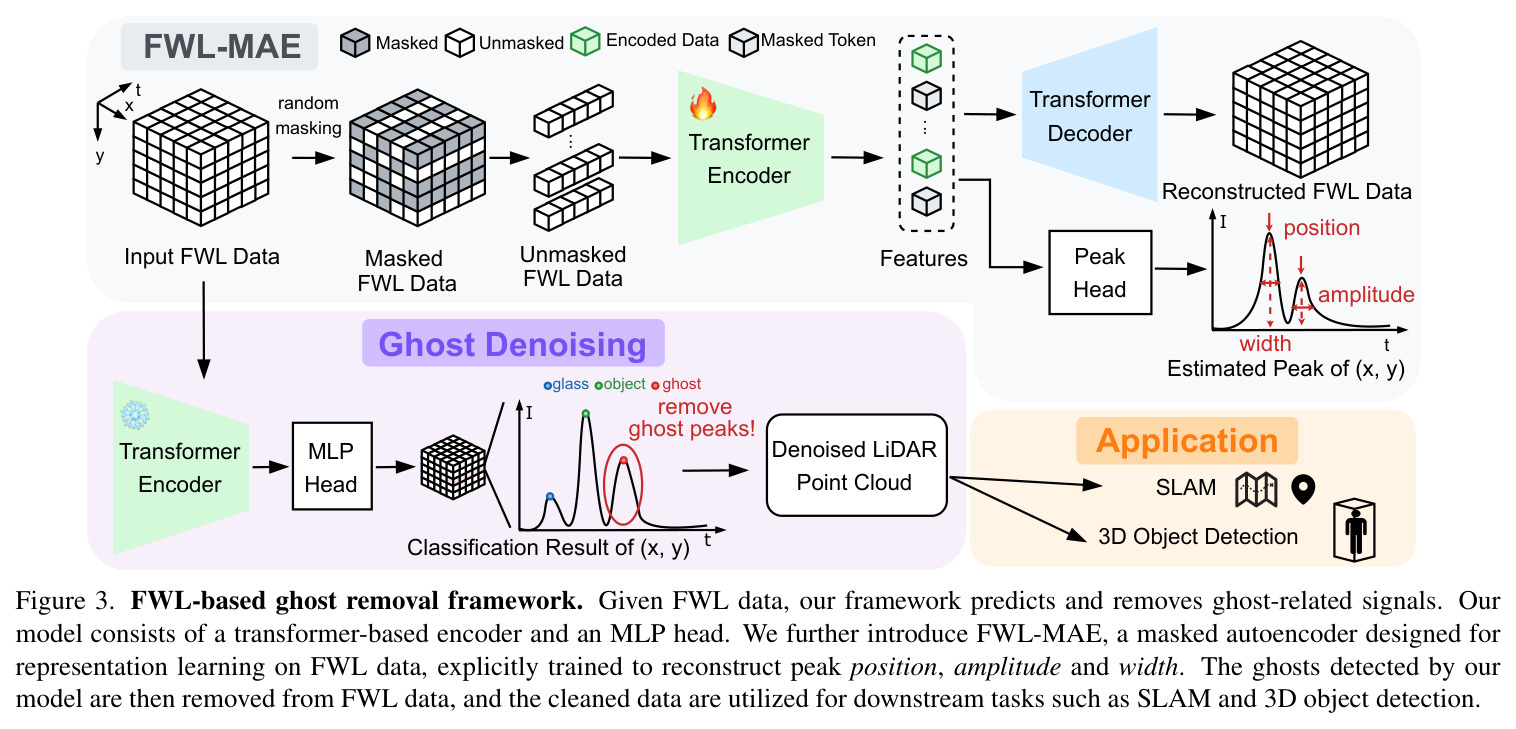FWL-based ghost removal framework. Given FWL data, our framework predicts and removes ghost-related signals. Our model consists of a transformer-based encoder and an MLP head. We further introduce FWL-MAE, a masked autoencoder designed for representation learning on FWL data, explicitly trained to reconstruct peak position, amplitude and width. The ghosts detected by our model are then removed from FWL data, and the cleaned data are utilized for downstream tasks such as SLAM and 3D object detection.