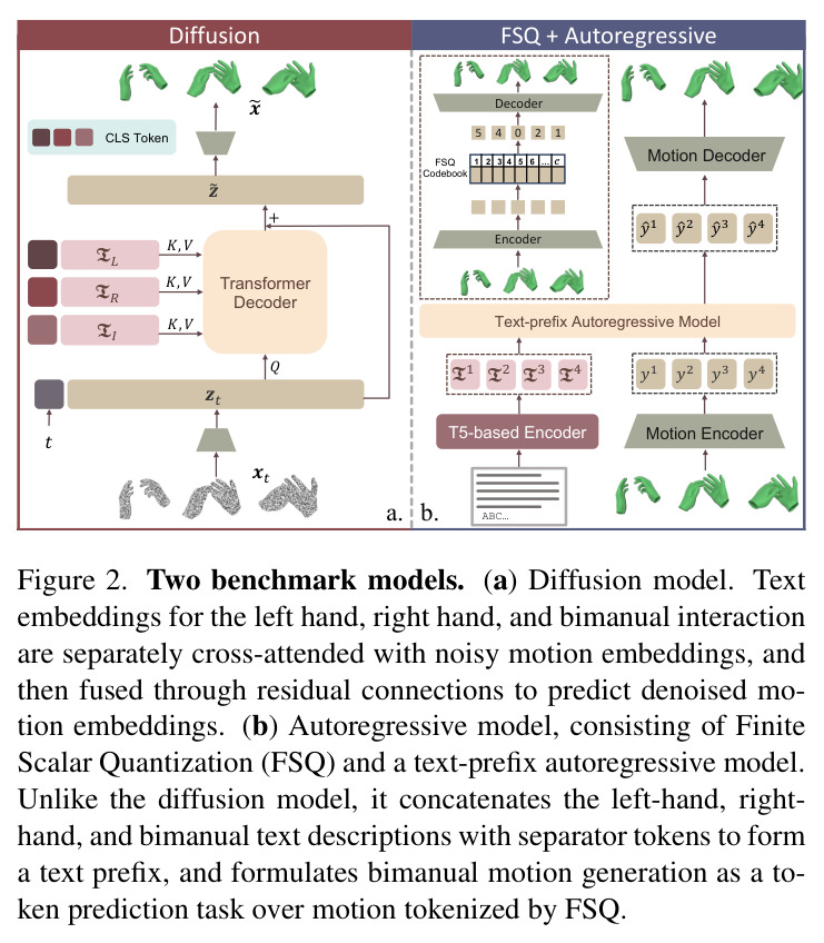 Two benchmark models. (a) Diffusion model. Text embeddings for the left hand, right hand, and bimanual interaction are separately cross-attended with noisy motion embeddings, and then fused through residual connections to predict denoised motion embeddings. (b) Autoregressive model, consisting of Finite Scalar Quantization (FSQ) and a text-prefix autoregressive model. Unlike the diffusion model, it concatenates the left-hand, right-hand, and bimanual text descriptions with separator tokens to form a text prefix, and formulates bimanual motion generation as a token prediction task over motion tokenized by FSQ.
