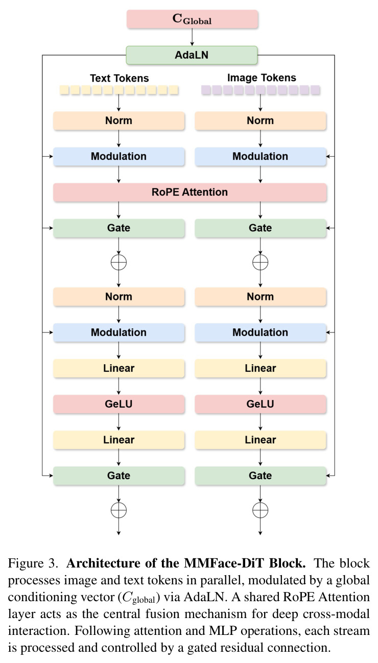 Architecture of the MMFace-DiT Block
