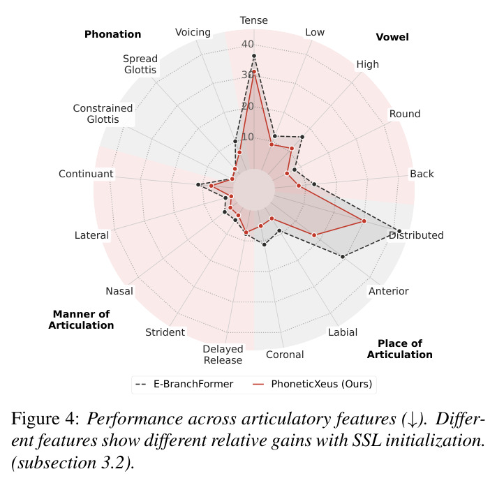 Performance across articulatory features (↓). Different features show different relative gains with SSL initialization (subsection 3.2).