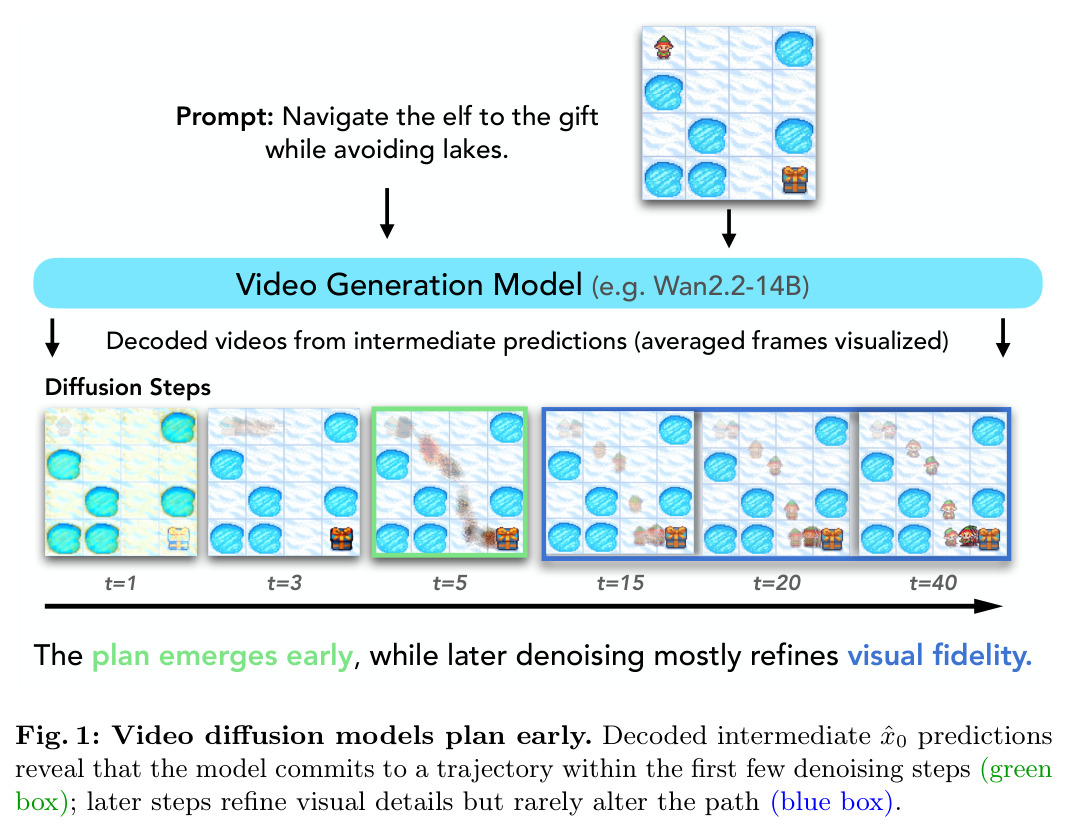 Video diffusion models plan early