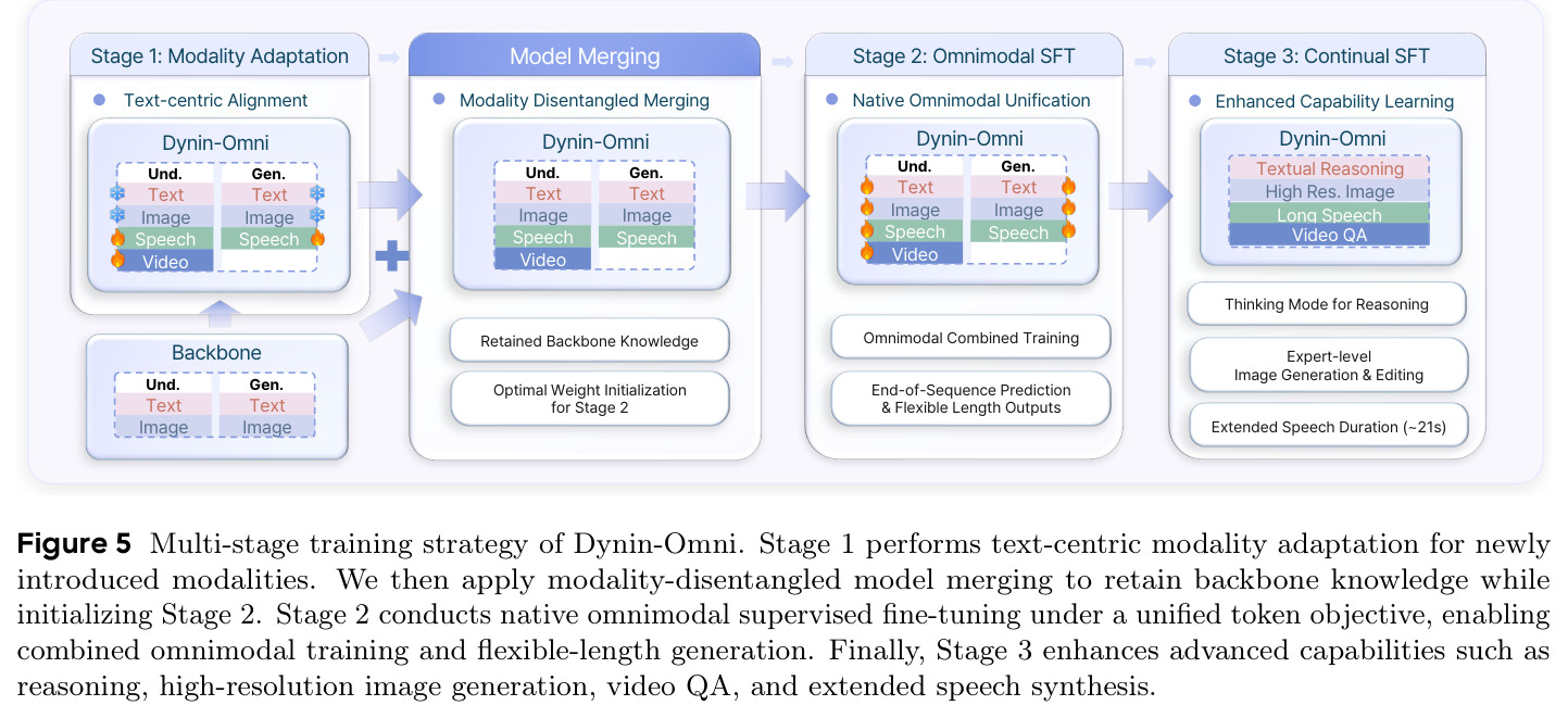 Multi-stage training strategy of Dynin-Omni.