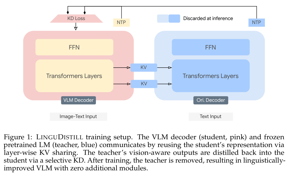 LINGUDISTILL training setup