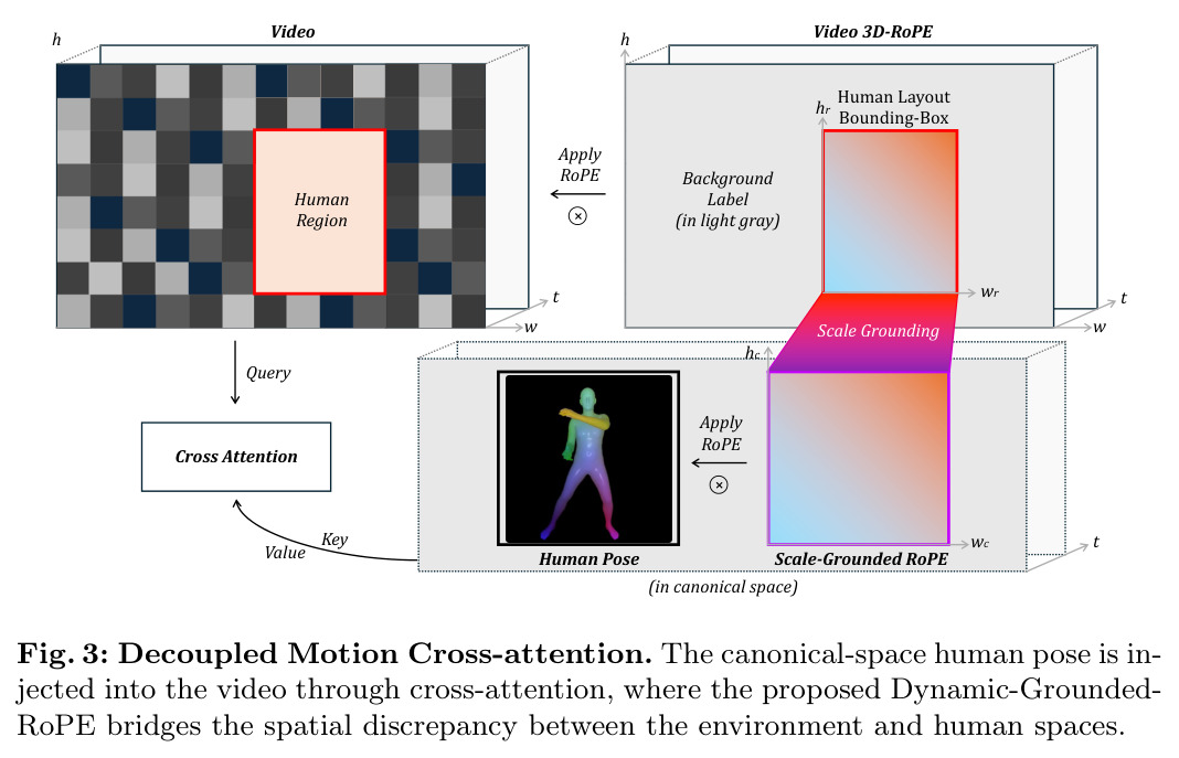 Decoupled Motion Cross-attention