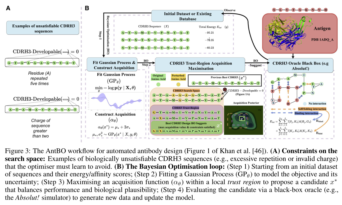 The AntBO workflow for automated antibody design (Figure 1 of Khan et al.).