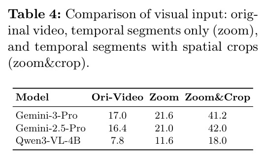 Comparison of visual input: original video, temporal segments only (zoom), and temporal segments with spatial crops (zoom&crop).