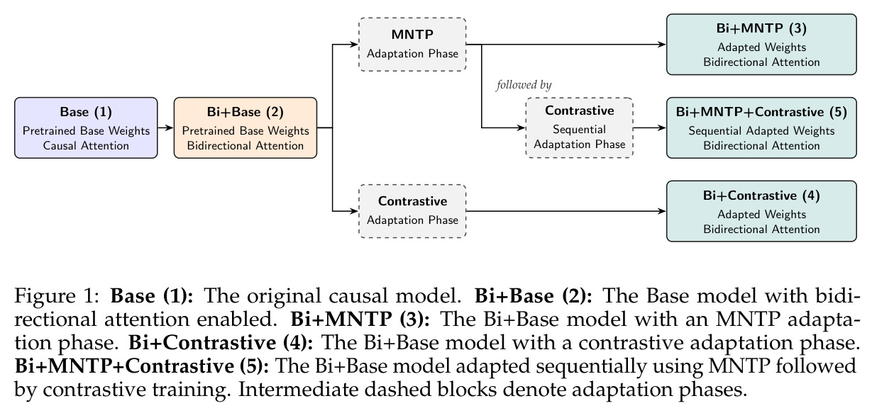 Five distinct variants derived from base models by switching from causal to bidirectional attention and applying two core adaptation objectives either individually or sequentially.