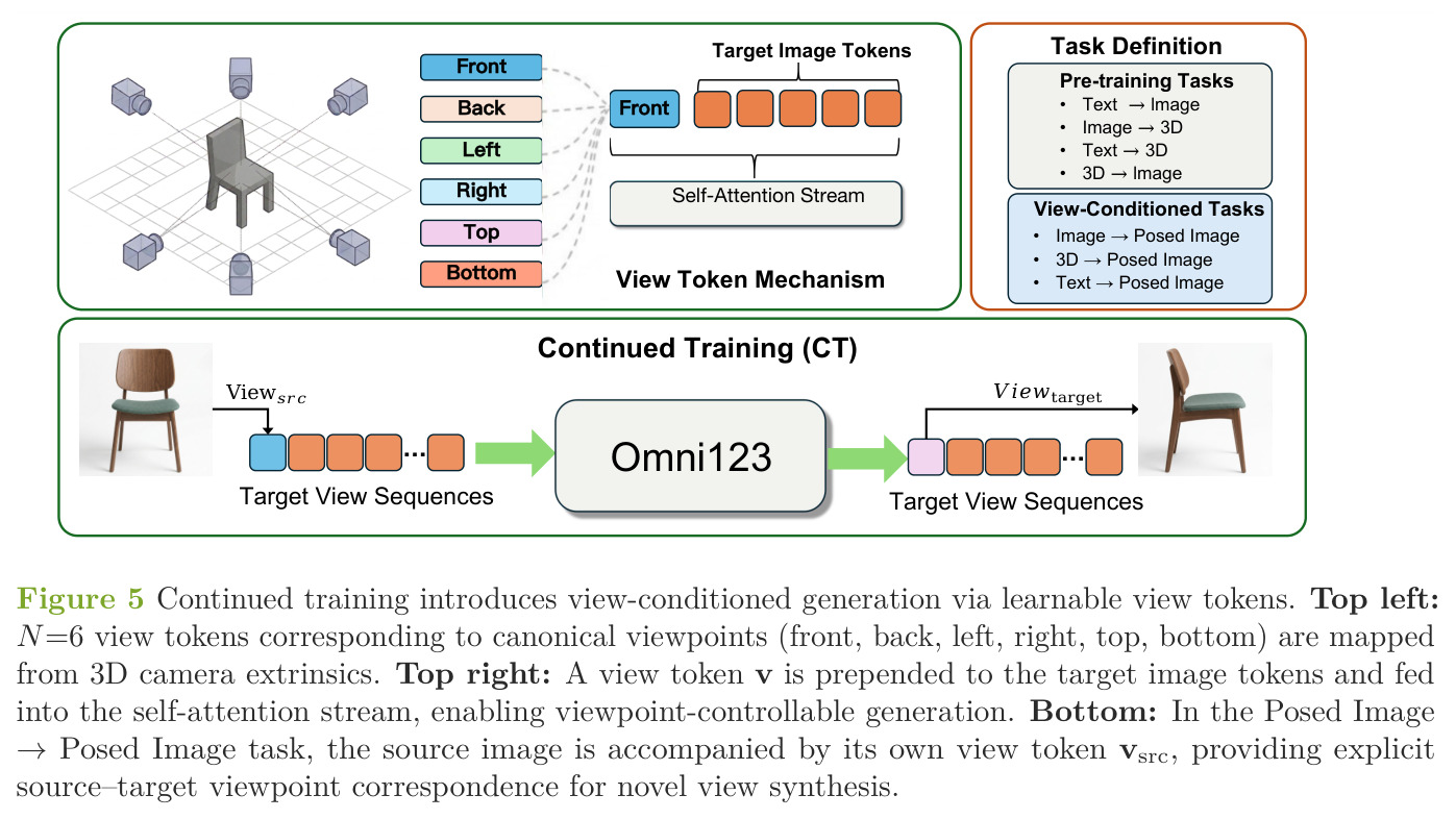 Continued training introduces view-conditioned generation via learnable view tokens.