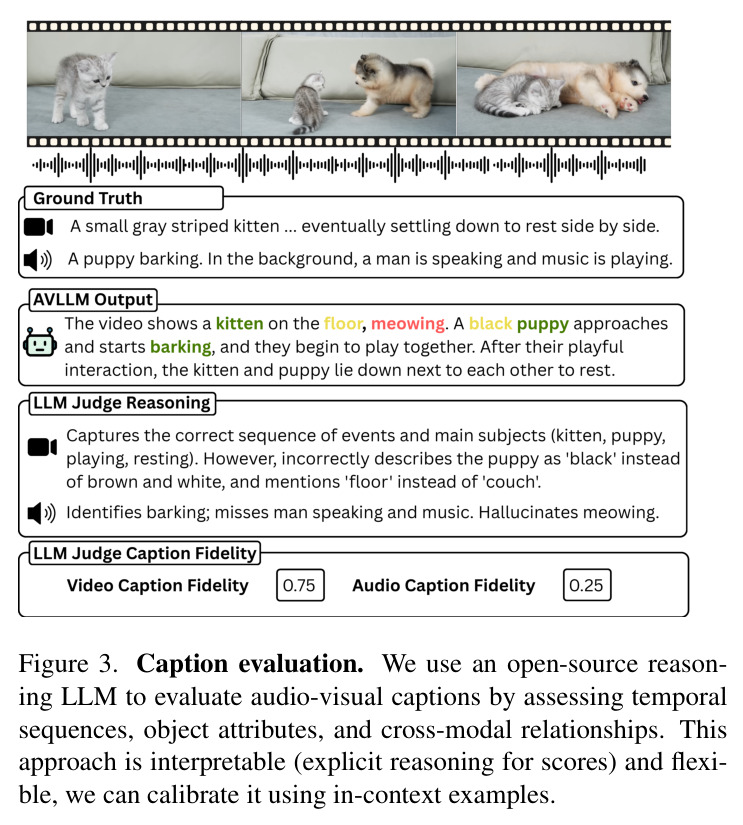 Caption evaluation. We use an open-source reasoning LLM to evaluate audio-visual captions by assessing temporal sequences, object attributes, and cross-modal relationships.
